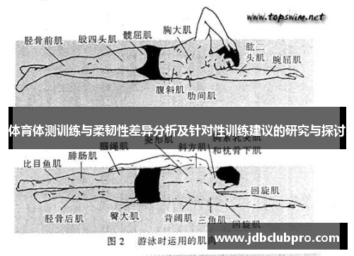 体育体测训练与柔韧性差异分析及针对性训练建议的研究与探讨