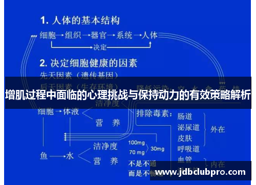 增肌过程中面临的心理挑战与保持动力的有效策略解析