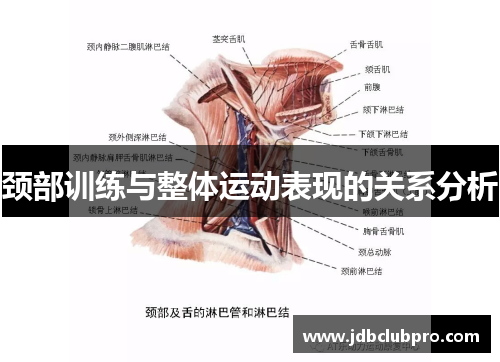 颈部训练与整体运动表现的关系分析